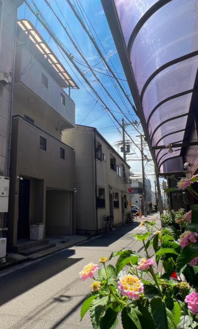 嵐西成松 别墅 *